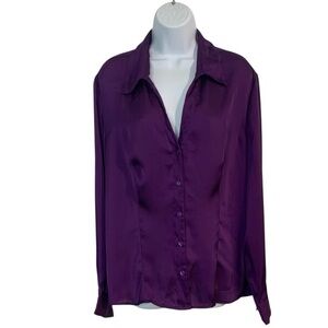 INVESTMENTS Long Sleeve Sheer Button Down Top